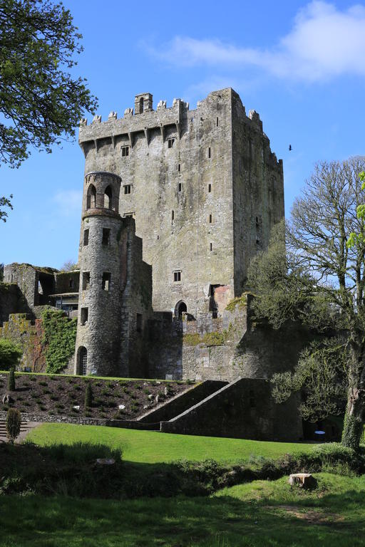 The White House B&B Cork Exterior photo